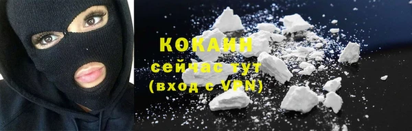прущие грибы Каменка