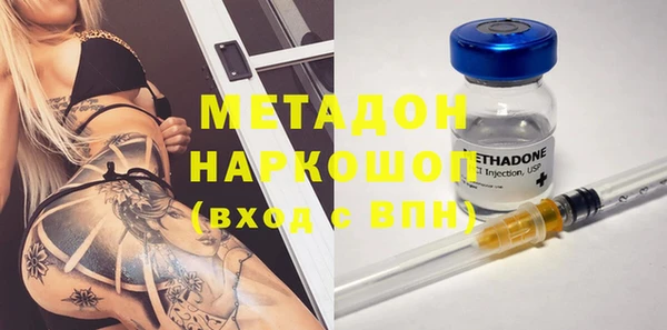прущие грибы Каменка
