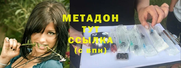 прущие грибы Каменка