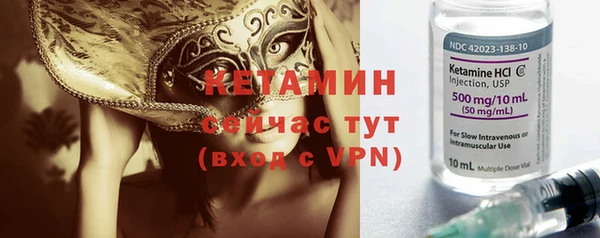 прущие грибы Каменка
