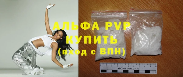 прущие грибы Каменка