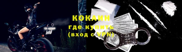 прущие грибы Каменка