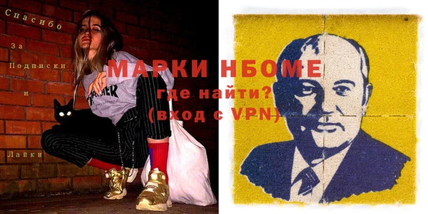 прущие грибы Каменка