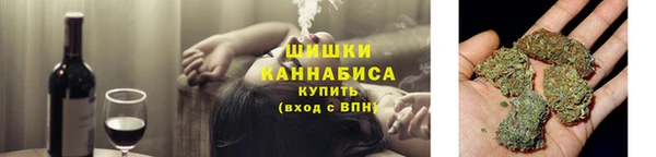 скорость Каменногорск