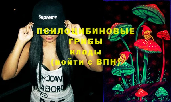 трава Болхов