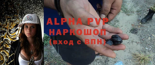 прущие грибы Каменка