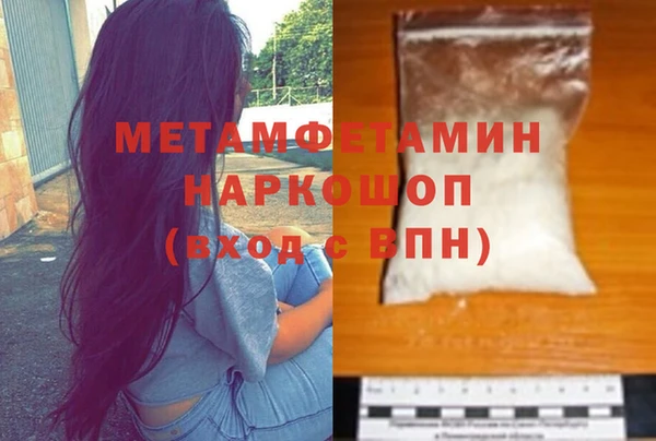 прущие грибы Каменка