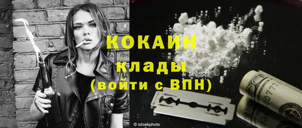 прущие грибы Каменка