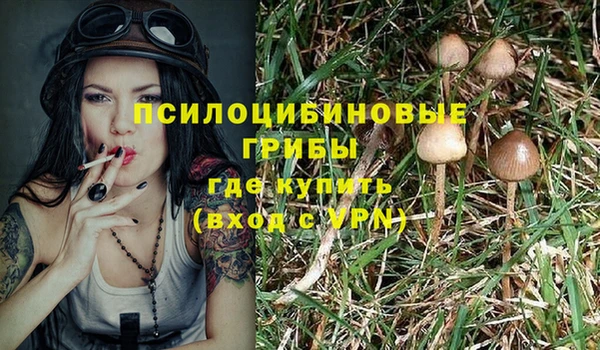 скорость Каменногорск